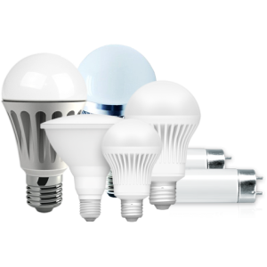 Bulb