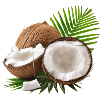 Coconut Coconut
