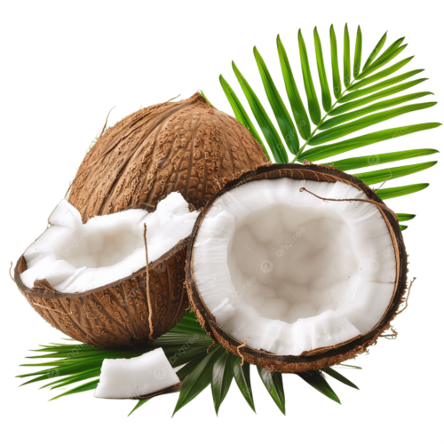 Coconut