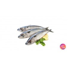 Salmon Fish 1kg | සැමන් මාළු 1kg