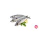 Salmon Fish 1kg | සැමන් මාළු 1kg