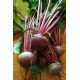 Beetroot 1kg | බිට්රුට් 1kg